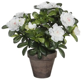 Planta Decorativa Mica Decorations 11,5 X 27 X 20 cm