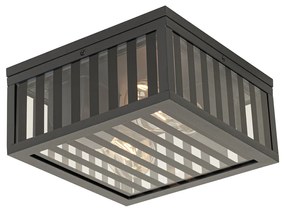 Candeeiro de tecto moderno para exterior preto com vidro fumê 2 luzes IP44 - Dijon Moderno