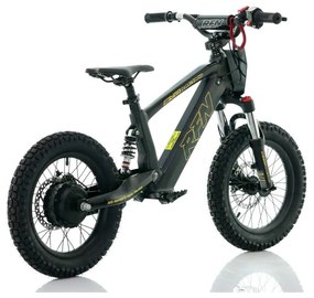 Bicicleta elétrica infantil 350W 16" Roan RXF Evo-S Preta e Dourada