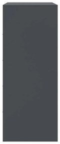 Aparador alto 67x39x95 cm aço antracite