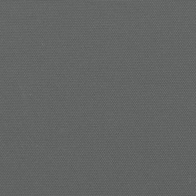 Toldo lateral retrátil 160x600 cm antracite
