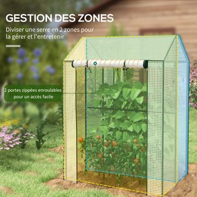 Estufa de jardim com 2 compartimentos e 2 portas enroláveis - 0,8 m² Estufa para tomates com dimensões 1,0 m (C) x 0,8 m (L) x 1,5 m (A), aço e PE bra