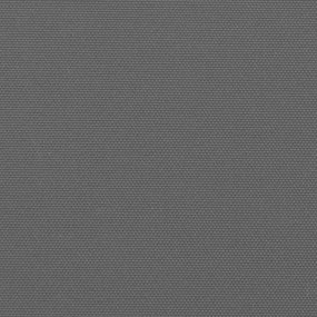 Toldo lateral retrátil 180x300 cm antracite