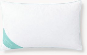 Almofada de penas e plumas Comfort, média