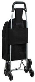 Carrinho de Compras vidaXL com Escada Preto 38 L