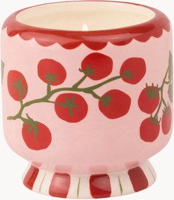 Vela perfumada em cerâmica Tomato Vine (tomate tradicional)
