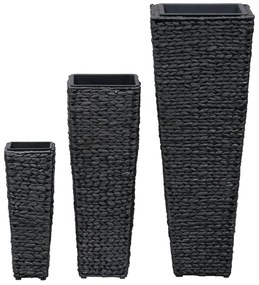 Vasos/floreiras 3 pcs jacinto de água preto