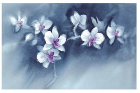 Tela Estampada 120X3.5X80CM