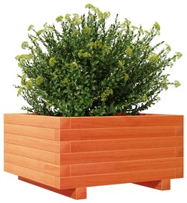 Vaso/floreira de jardim 50x50x26,5 cm pinho maciço castanho-mel