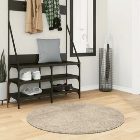 vidaXL Tapete de pelo alto com aspeto brilhante ISTAN Ø 100 cm bege