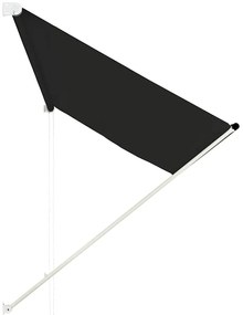 Toldo retrátil 250x150 cm antracite