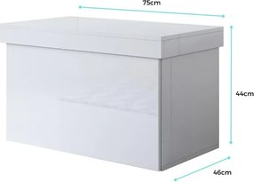 Baú/Sapateira com Gaveta BRAGA - 75X44X46 cm - Branco Brilhante - Desi