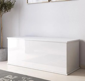 Baú / Arca de Armazenamento NORTE - 100x40x40 cm - Branco Brilhante -