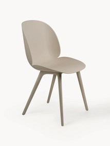 Chair Beetle