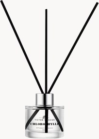 Difusor Chlorophylle (tulipa, vetiver e frésia), 100 ml