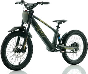 Bicicleta elétrica infantil 750W 20" RXF Evo Racing Preto/Dourado