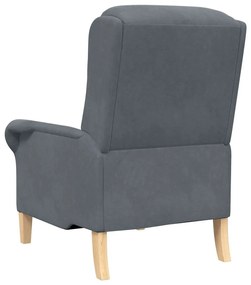Poltrona Cinza Escura Cinzento escuro Standard