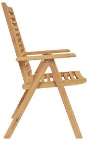 Cadeiras de Jardim vidaXL Dobrável 8 pcs Madeira de Teca