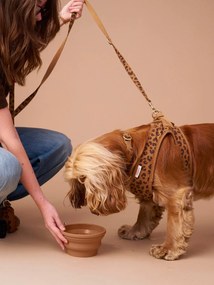 Gamela em silicone refratário  Family, para animal de companhia camelo