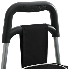 Carrinho de Compras vidaXL com Escada Preto 38 L