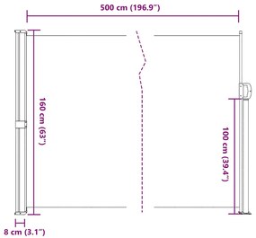 Toldo lateral retrátil 160x500 cm antracite