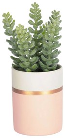 Kave Home - Planta artificial Sedum lucidum em vaso de cerâmica rosa