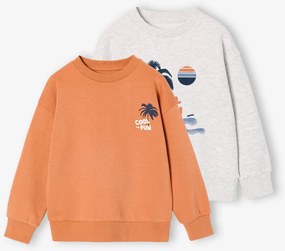 Lote de 2 sweats cool and fun, para menino tomate