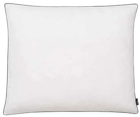 Almofadas 2 pcs enchimento de penugem/penas 70x60 cm branco