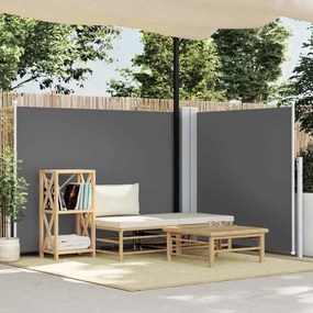 vidaXL Toldo lateral retrátil 140x600 cm antracite