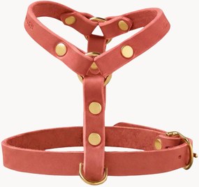 Peitoral para cão em pele Y-Harness, vários tamanhos