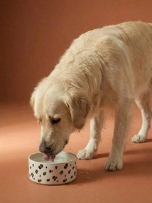 Gamela em cerâmica Family, para cão branco estampado