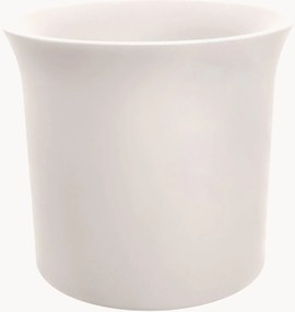 Vaso June Tulip