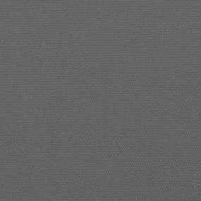 Toldo lateral retrátil 140x600 cm antracite