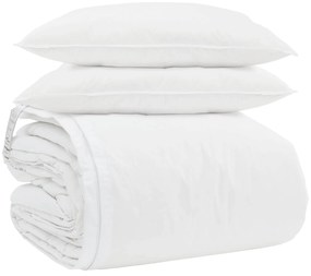 vidaXL Conjunto de Edredom com travesseiro 3 pcs Branco Pena de ganso