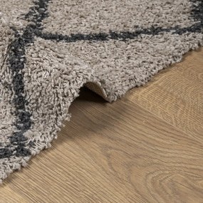 Tapete shaggy de pelo alto PAMPLONA 120x170 cm bege e antracite