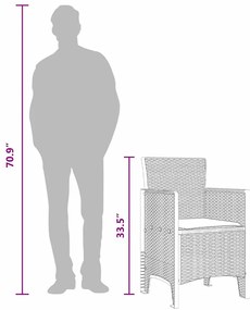 Cadeiras de Jardim 2 pcs Antracite 53 x 49 x 85 cm