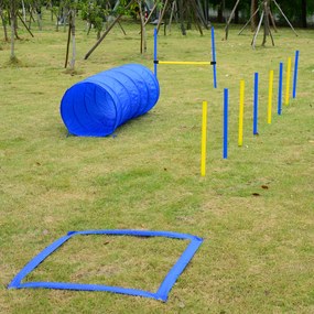 Kit Treino Agility Agilidade Cães Salto Túnel e Slalom Azul Amarelo