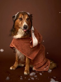 Capa de banho cão em algodão cappuccino