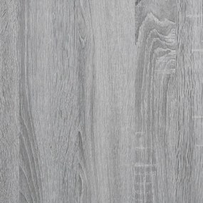Sapateira 60x34x96,5 cm derivados de madeira cinzento sonoma