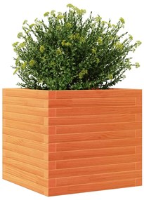Vaso/floreira de jardim 50x50x46 cm pinho maciço castanho-mel