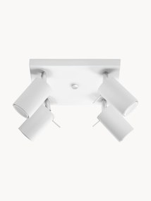 Small Ceiling Spotlight Etna