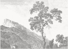 Papel de parede não tecido Engraved Landscapes I