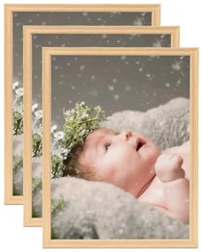 vidaXL Molduras para parede 3 pcs 40x50 cm carvalho-claro