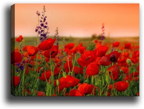 Quadro Decorativo 100214240 – Multicolor – 50 x 70 cm