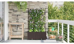 Plantadeira de Jardim com Treliça 2 pcs Castanho 80x40x143 cm