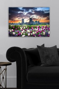 Tela Decorativa 1481242091 – Multicolor – 50 x 70 cm
