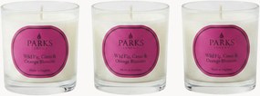 Velas perfumadas artesanais Vintage Aromatherapy (figo selvagem, groselha-preta, flor de laranjeira), conjunto de 3