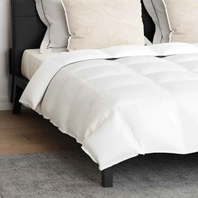 Edredão com travesseiro 3 pcs Branco 260 x 220 cm Penugem