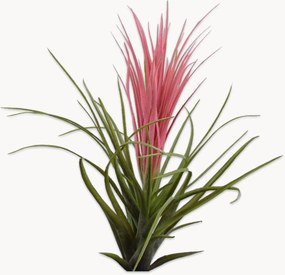 Flor artificial Tillandsia