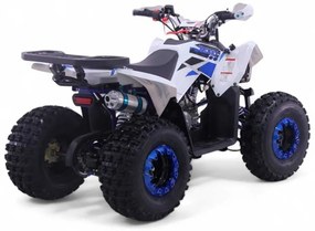 Mini Moto 4 gasolina para crianças automática 125cc Roan Coyote R8 Ecrã digital e com e marcha-atrás Azul